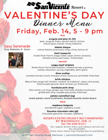 Valentines Day Public 2025